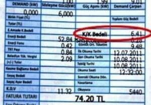 Elektrik kayıp kaçak bedeli iadesi dilekçesi